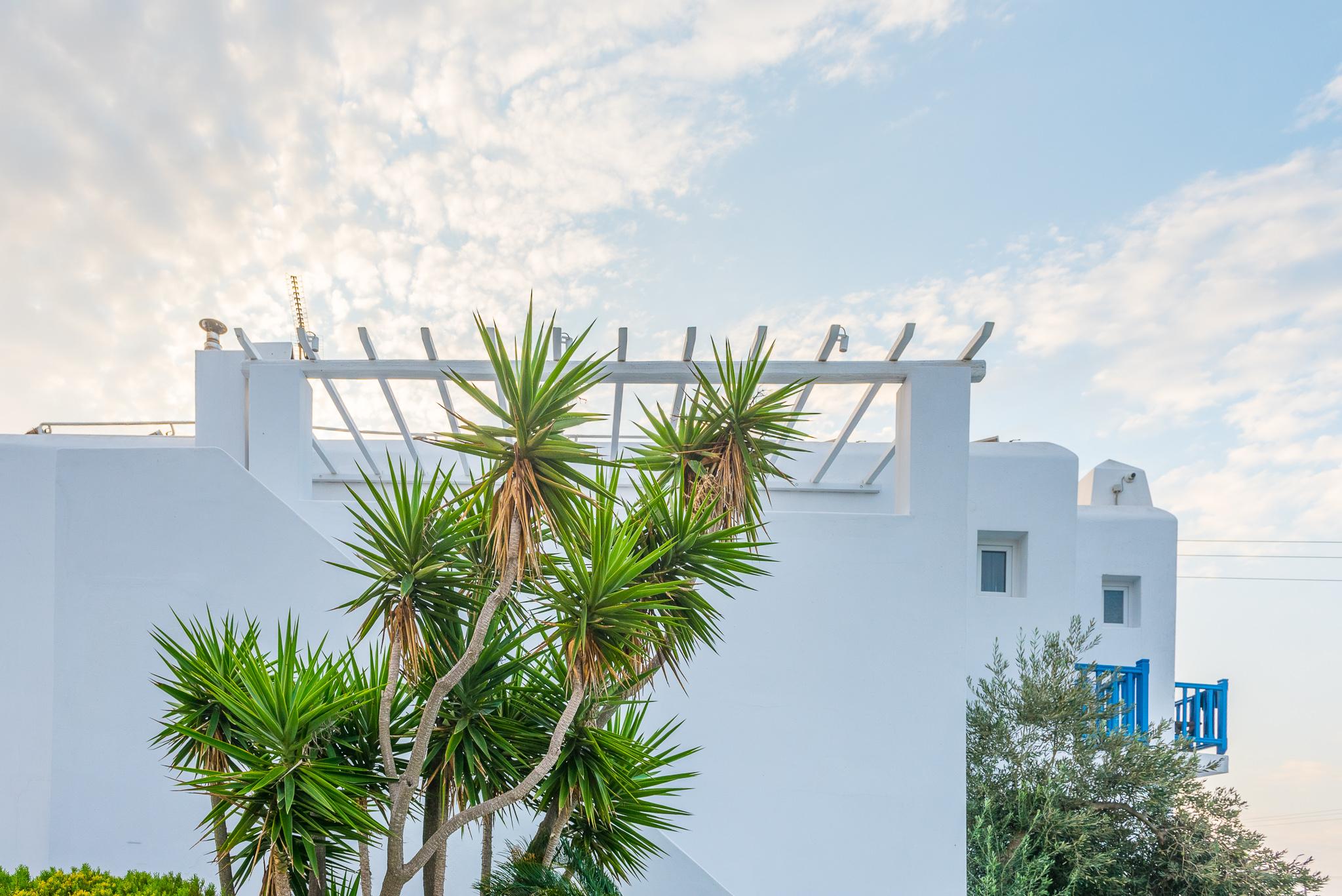 Vienoula'S Garden Hotel Mykonos Town Extérieur photo